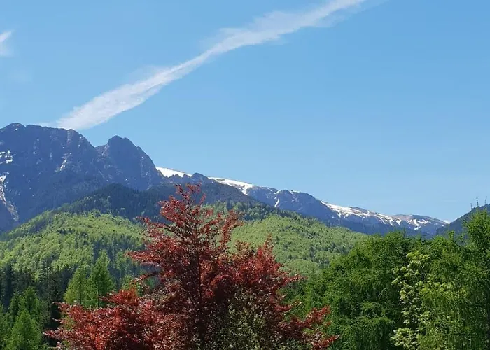 Bel-ami Nocleg ze śniadaniem 3*