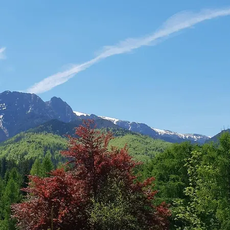 Bel-ami Bed & Breakfast 3*