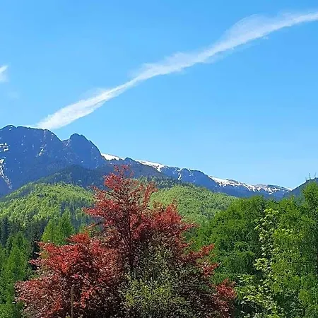 Bel-ami Zakopane