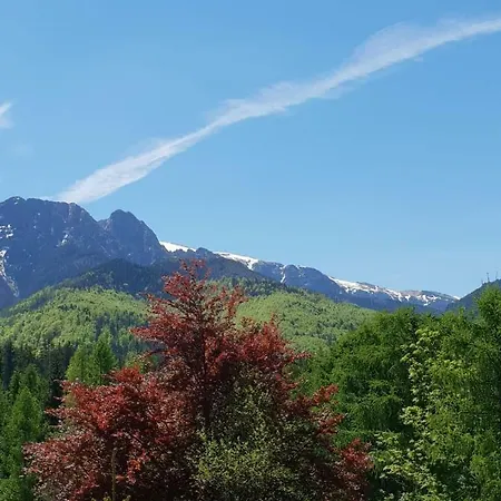 Bel-ami Nocleg ze śniadaniem Zakopane