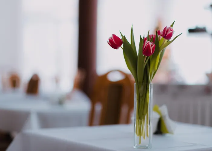 ベル アミ ザコパネ