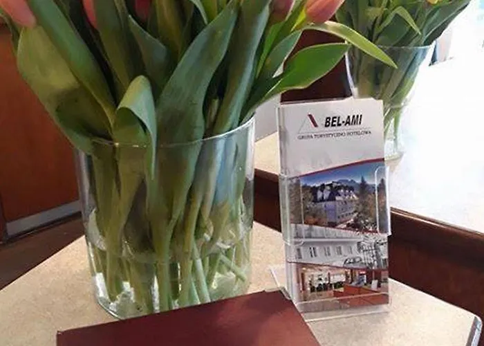 ベッド・アンド・ブレックファスト ベル アミ 3*